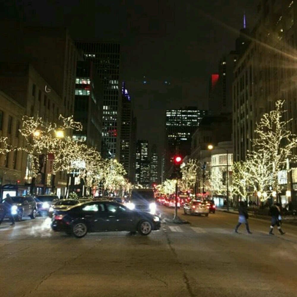 Meet your Posher, Lucille